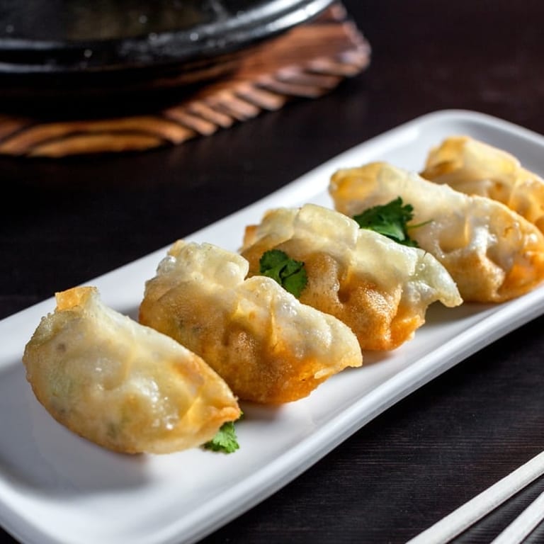 Savor Our Chicken Gyoza